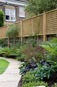 a garden with lots of plants and trees