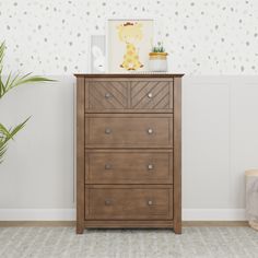 a wooden dresser sitting next to a potted plant on top of a rug in front of a wall