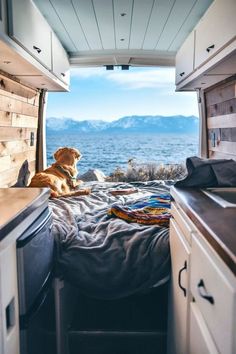 a dog is sitting in the bed of an rv looking out at the water and mountains