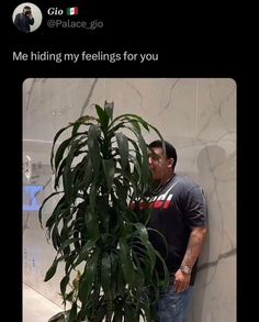 a man leaning against a wall next to a plant with the caption me hiding my feelings for you