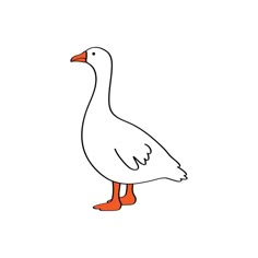 a white duck with orange feet and an orange beak stands in front of a white background