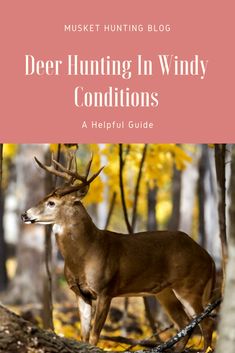 the deer hunting in windy conditions book cover