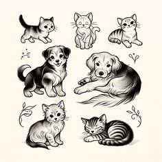 an image of cats and dogs in black and white