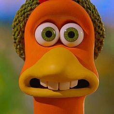 an orange bird with green eyes wearing a knitted hat