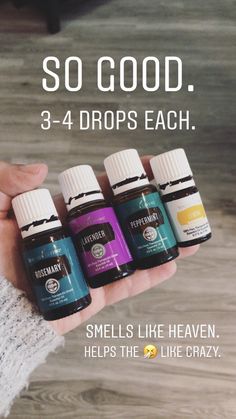 Soya Mumu, Rosemary Lavender, Essential Oils Young Living, Essential Oils Guide, Yl Oils