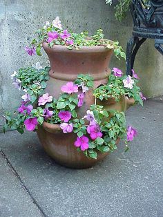 some pink and white flowers in a large pot