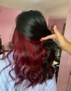 Black Hair With Red Highlights Underneath, Dark Red Dyed Hair Underneath, Black Hair With Wine Red Underneath, Red On Bottom Black On Top Hair, Under Dyed Hair Red And Brown, Red Hair Dye Ideas For Brunettes Underneath, Red Hair Back Of Head