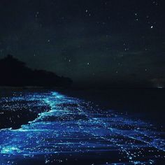 the water is glowing blue at night with stars in the sky above it and on land below