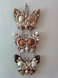 three seashells are hanging on the wall and one is shaped like a butterfly