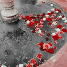 red and white flowers are floating in a water fountain with ice on the ground next to it