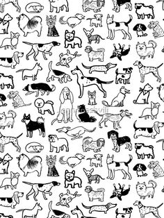 a black and white drawing of cats on a white background, with many different types of cats