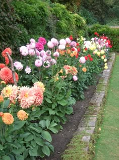 many different colored flowers in a garden