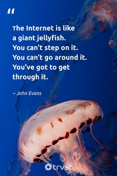 the internet is like a giant jellyfish you can't step on it you can't go around it you've got to get through it