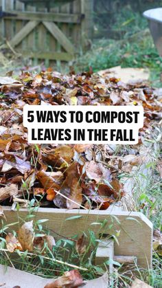 a pile of leaves with the words 5 ways to compost leaves in the fall