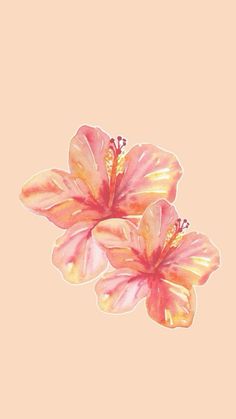 two pink flowers on a peach background