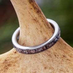 a close up of a silver ring on a wooden object with trees in the background