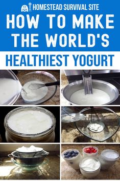 how to make the world's healthiest yogurt at homestead survival