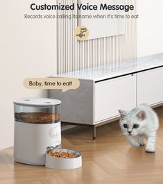 a white kitten walking across a wooden floor next to a food dispenser