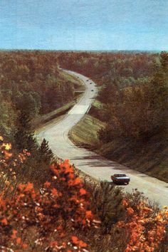 a car driving down a winding road in the middle of trees and flowers on both sides