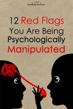 the book cover for red flags you are being psychedelically manipulated, with an image of two people talking to each other