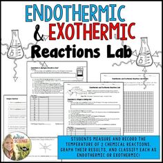 the endothermic and exothermic reactions lab for students to use