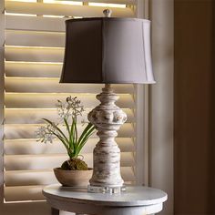 a table with a lamp, potted plant and a vase on it in front of a window