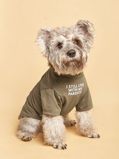 a small dog wearing a shirt that says i still live with my parents