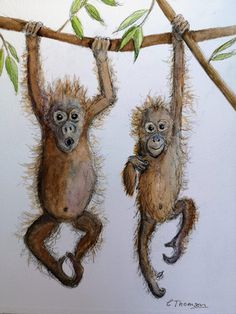 two monkeys hanging upside down on tree branches