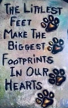 graffiti written on the side of a rock with paw prints and words that read, the littlest feet make the biggest footprints in our hearts