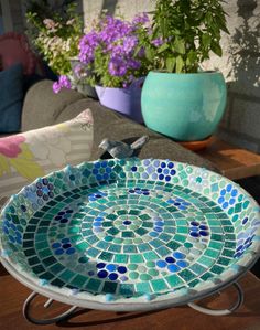 a blue and green plate sitting on top of a wooden table next to potted plants