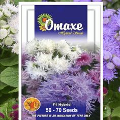 some purple and white flowers in front of a blue sign that says omaxe