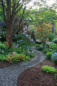 a garden filled with lots of different types of flowers and plants next to a tree