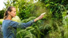 a woman picking flowers from a bush