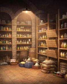 a room with shelves filled with lots of food