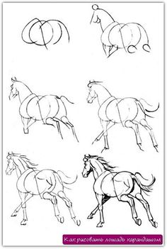 some horses that are running in different directions