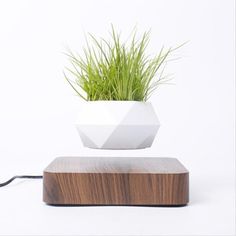 a plant in a white vase sitting on top of a wooden block next to a charger