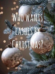 Christmas Esthetics, Esthetician Tools, Eyelash Ideas, Lash Extensions Quotes, Lashes Lift, Lash Inspiration, Lashes Ideas, Lash Boss, Welcome December