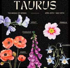 a poster with flowers and the words taurus written in white lettering on black background