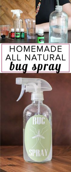 Homemade Bug Spray Recipe, Homemade Room Spray, Homemade Bug Spray, Diy Bug Spray, Bug Spray Recipe, Diy Room Spray, Crunchy Mama, Mosquito Spray, Natural Bug Spray