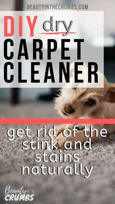 a dog laying on the floor with text overlay that reads diy dry carpet cleaner get rid of the stink and stains naturally