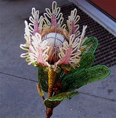 a close up of a flower on a sidewalk