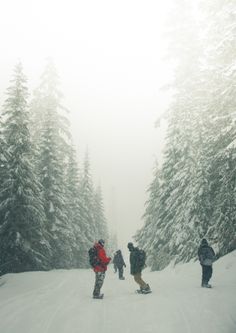 several snowboarders are standing in the snow near some trees