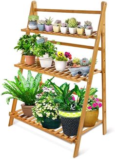 a wooden shelf filled with potted plants on top of it's sides and bottom shelves