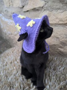 a black cat wearing a purple knitted hat