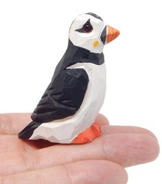 a hand holding a small black and white bird on it's palm, with its head turned to the side