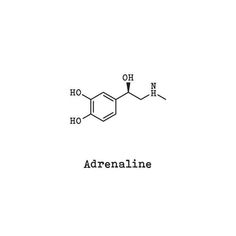 Adrenaline Tattoo Ideas, Adrenaline Tattoo, Tats Inspiration, Chemical Tattoo, Tato Jam, Adrenaline Molecule, Chemical Symbols, Love Hormone, Chemistry Tattoo