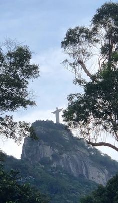 a statue on top of a mountain surrounded by trees