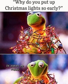 kermie the frog sitting on top of a christmas tree with lights around it