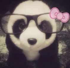 a black and white panda bear wearing glasses