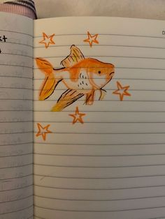 an open notebook with drawings of fish and stars on the pages, which are colored orange